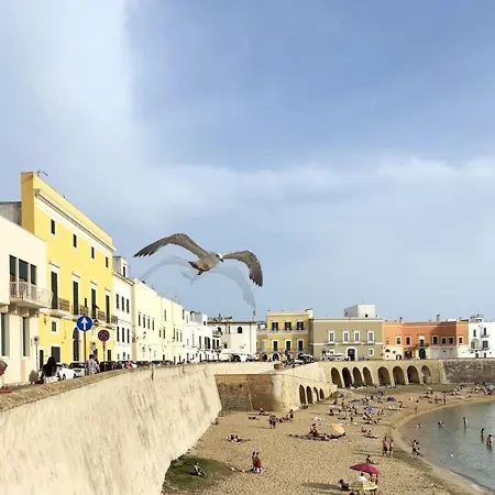 Casa vacanze Casa Vacanza Il Pumo Gallipoli